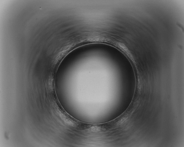 X0000099540441200805231130