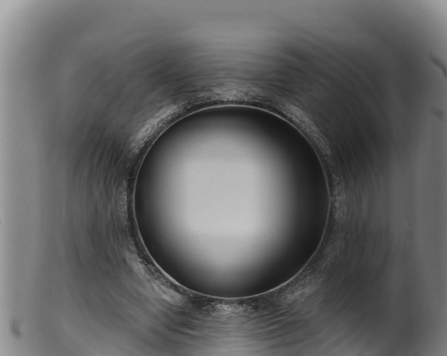 X0000099540442200805231130