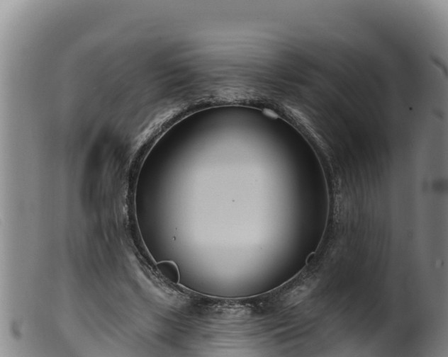 X0000099540443200805231130