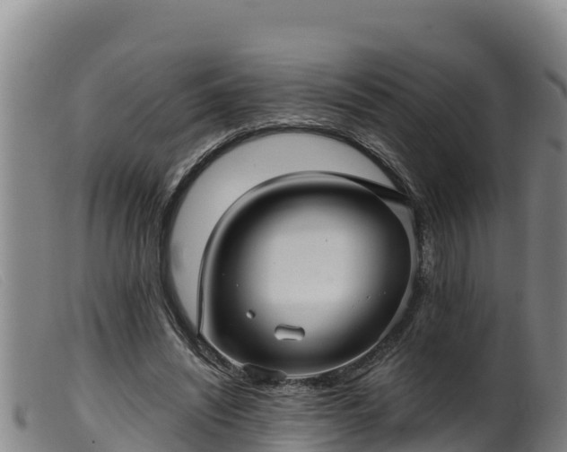 X0000099540444200805231130