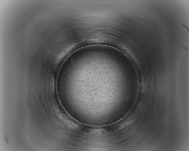 X0000099540446200805231131