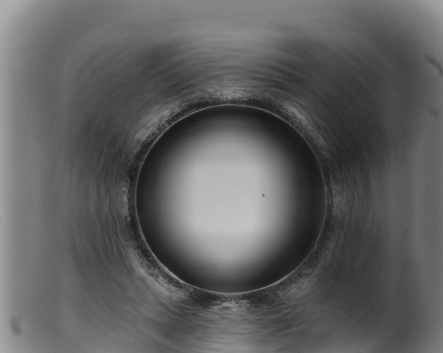 X0000099540447200805231131