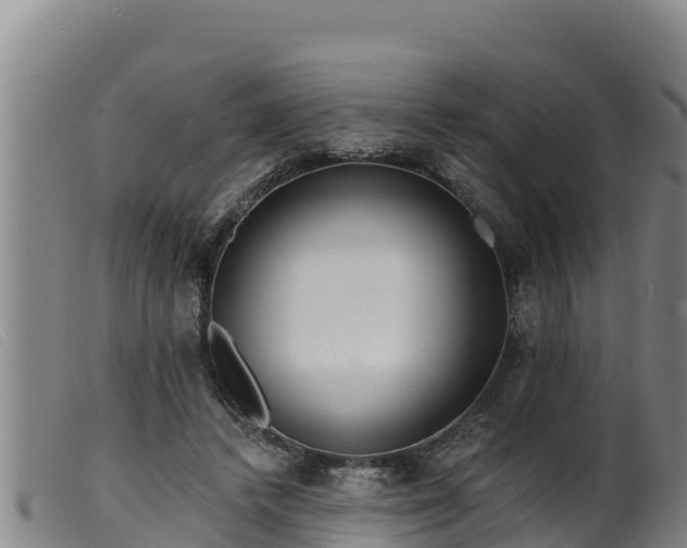 X0000099540448200805231131