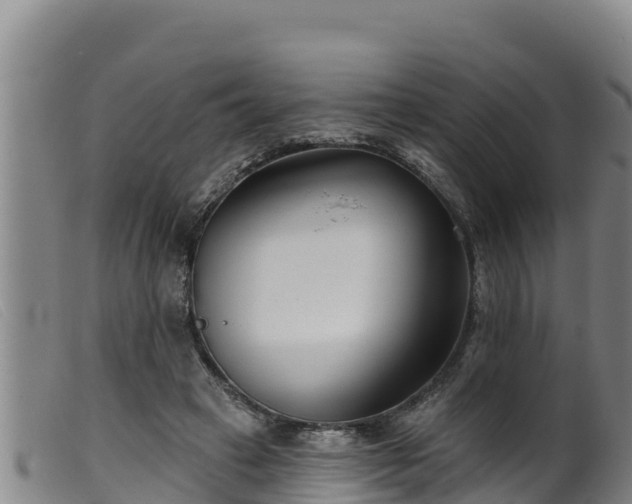 X0000099540449200805231131