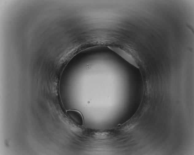 X0000099540450200805231131