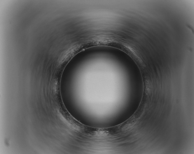 X0000099540451200805231131