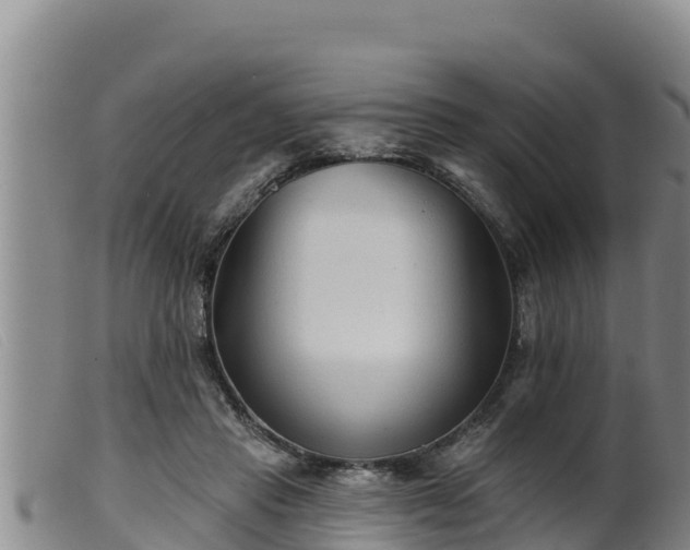 X0000099540453200805231131