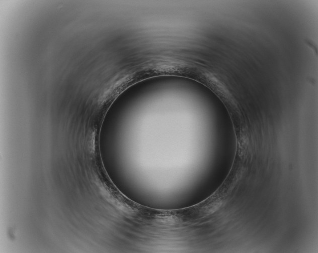 X0000099540454200805231131