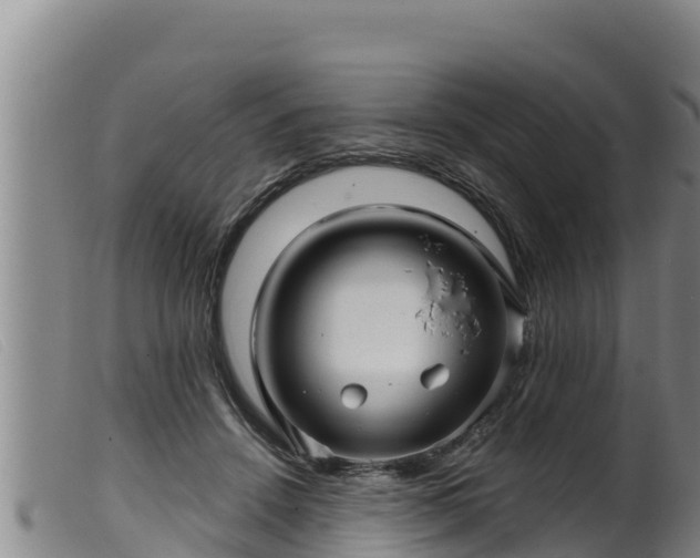 X0000099540456200805231131