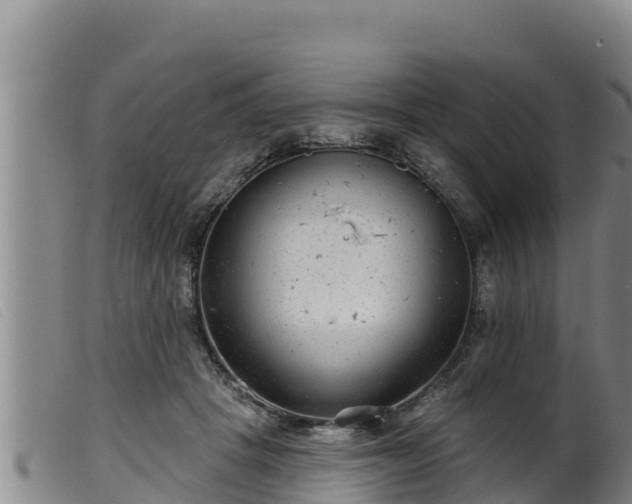 X0000099540457200805231131