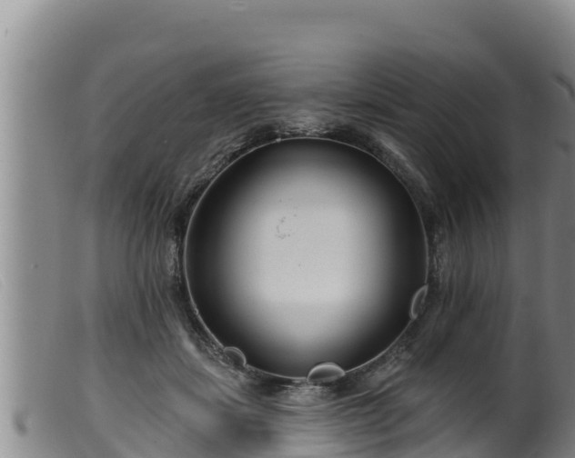 X0000099540459200805231131