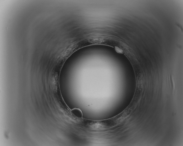 X0000099540460200805231131