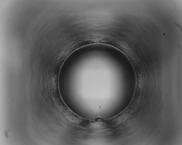 X0000099540461200805231131