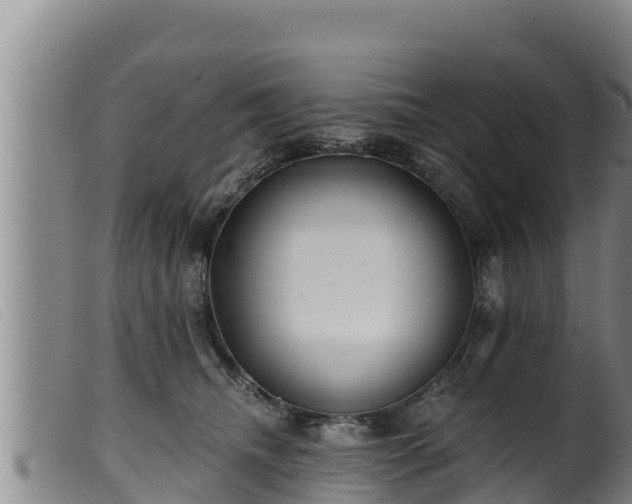 X0000099540468200805231131