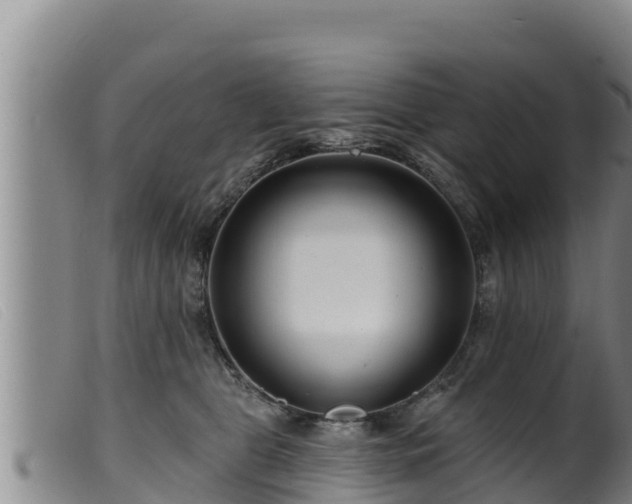 X0000099540469200805231131