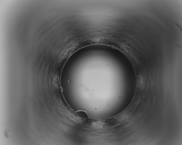 X0000099540470200805231131