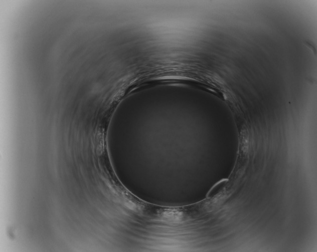 X0000099540471200805231131