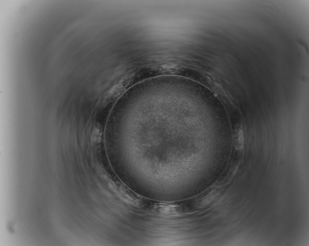 X0000099540472200805231131