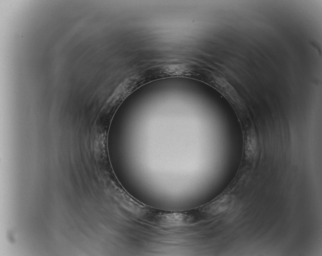 X0000099540473200805231131