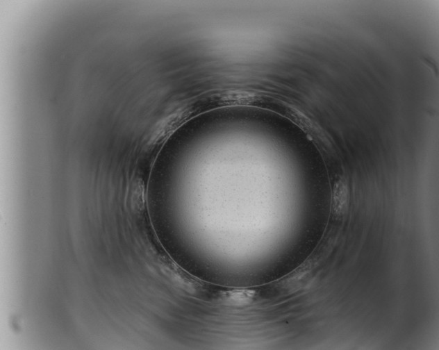 X0000099540474200805231131