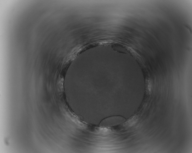 X0000099540475200805231131