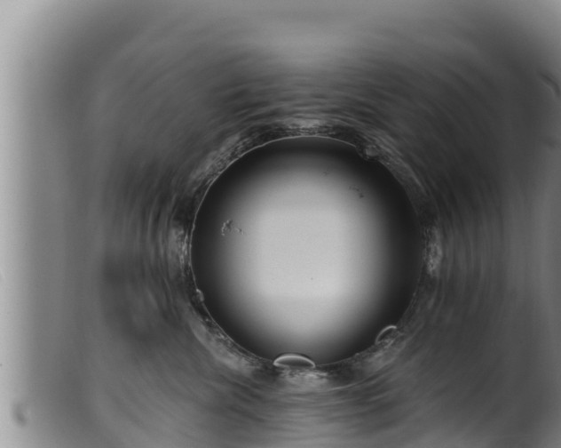 X0000099540476200805231131