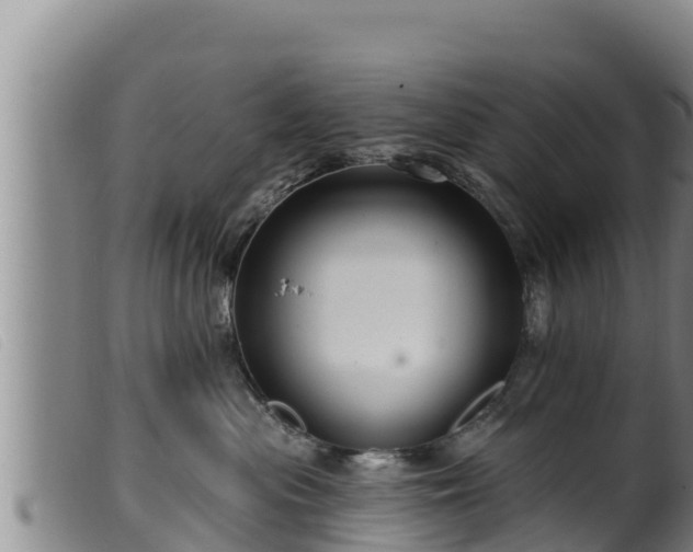 X0000099540477200805231131