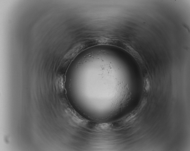 X0000099540479200805231131