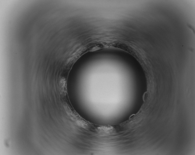 X0000099540480200805231131