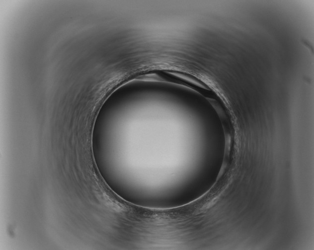 X0000099540481200805231130