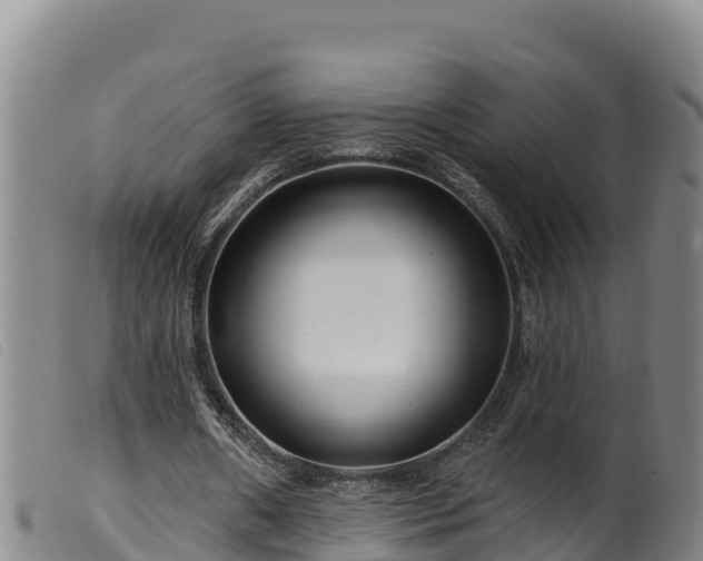 X0000099540482200805231130