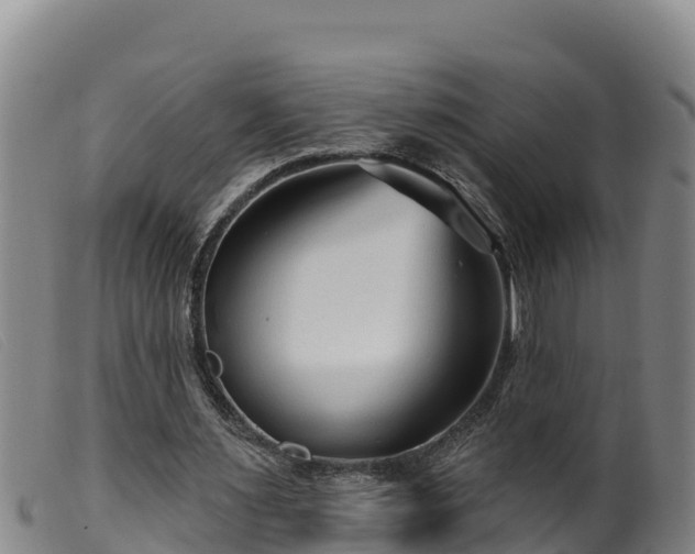 X0000099540483200805231130