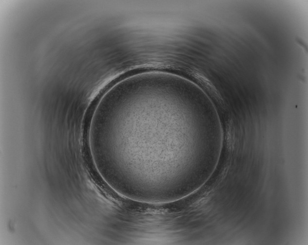 X0000099540484200805231130