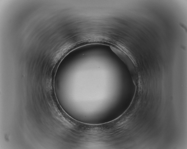 X0000099540485200805231130