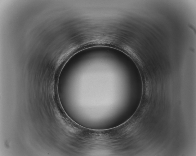 X0000099540486200805231130