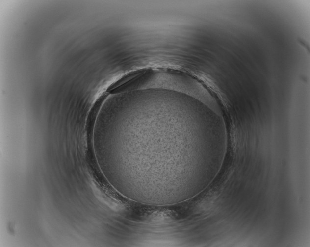 X0000099540488200805231130