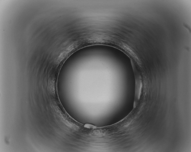 X0000099540489200805231130