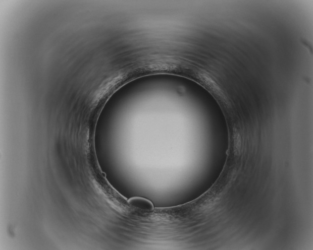 X0000099540490200805231130