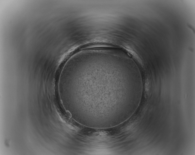 X0000099540492200805231130