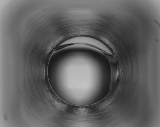 X0000099540493200805231130