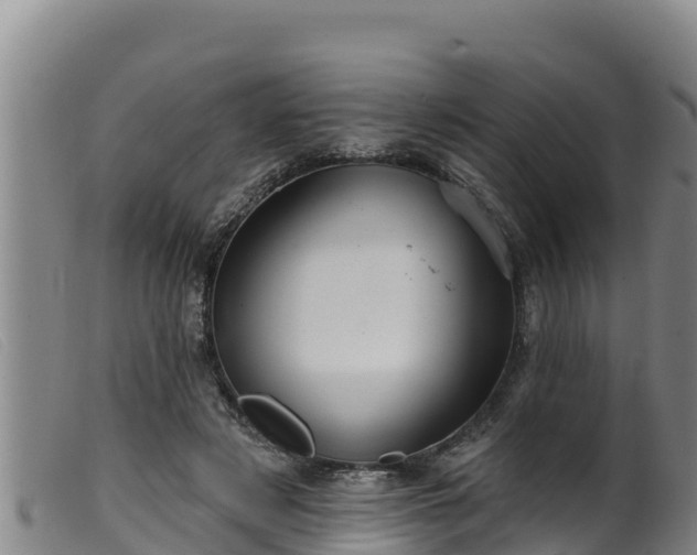 X0000099540497200805231130