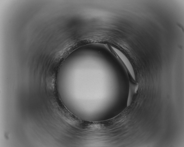 X0000099540499200805231130