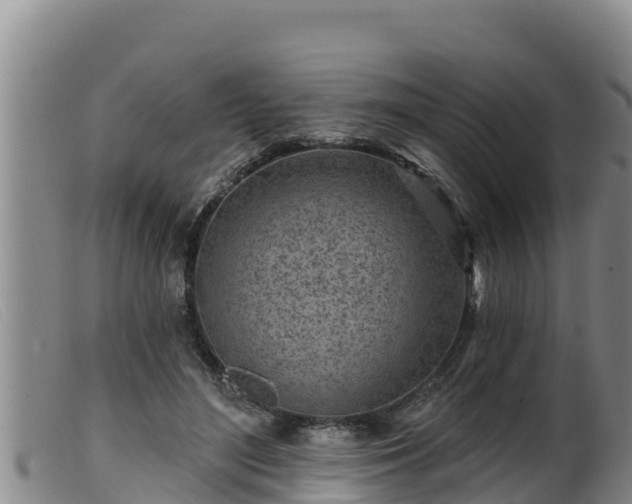 X0000099540500200805231130