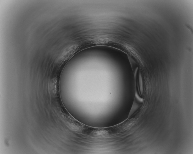 X0000099540501200805231130