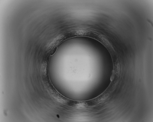 X0000099540505200805231130