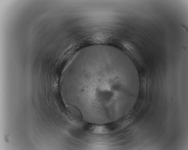 X0000099540507200805231130