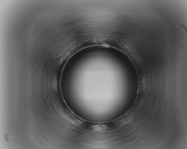 X0000099540508200805231130