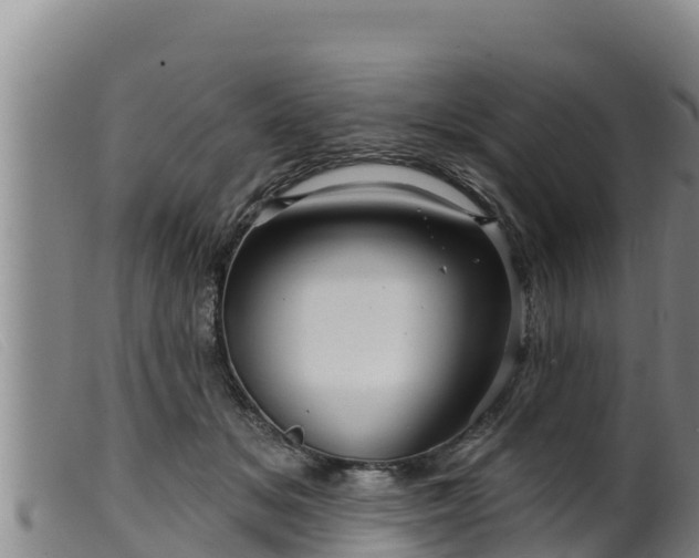 X0000099540509200805231130