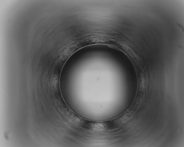 X0000099540513200805231130