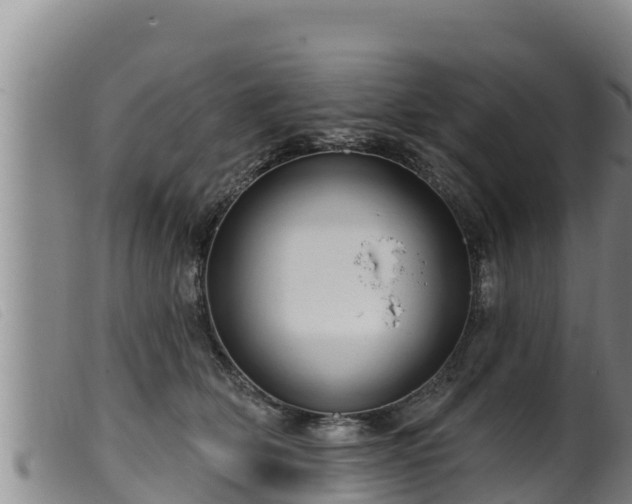 X0000099540514200805231130